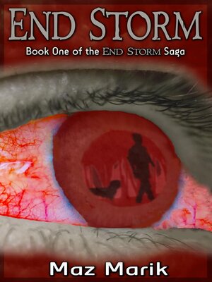 cover image of End Storm